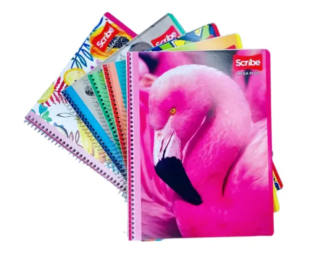 CUADERNO PROFESIONAL DOBLE RAYA en INTERNET AROM Coyoacán