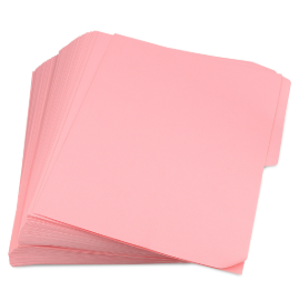 FOLDER CARTA ROSA en INTERNET AROM Coyoacán